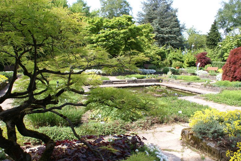 Linz Botanical Garden, Linz, Austria, Austria